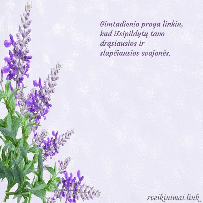 Gimtadienio atvirukas su lubinais