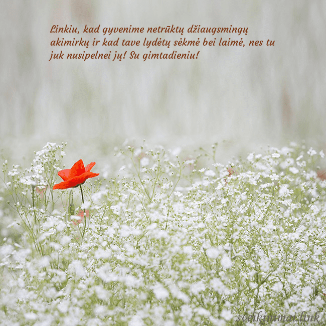 Elektroninis gimtadienio atvirukas su baltomis gėlėmis Linkiu, kad gyvenime netrūktų džiaugsmingų akimirk Elektroninis gimtadienio atvirukas su baltomis gėlėmis