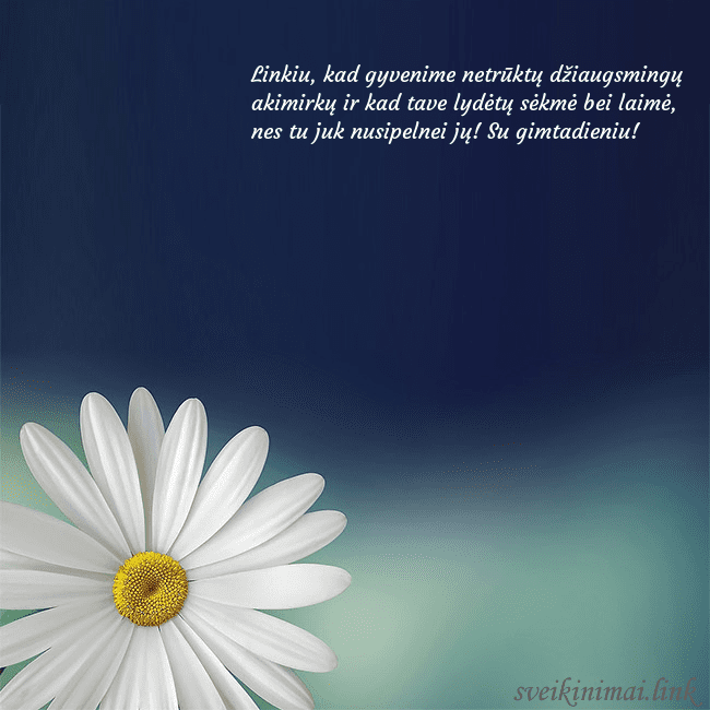 Gimtadienio atvirukas su didele ramune Linkiu, kad gyvenime netrūktų džiaugsmingų akimirk Gimtadienio atvirukas su didele ramune