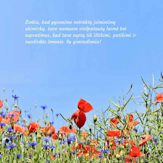 Gimtadienio atvirukas su aguonomis Linkiu, kad gyvenime netrūktų įsimintinų akimirkų, Gimtadienio atvirukas su aguonomis