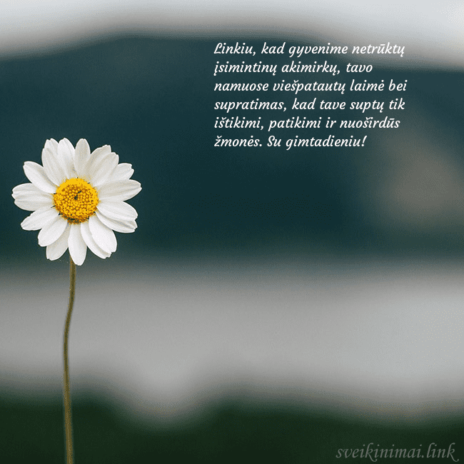 Elektroninis atvirukas su ramune Linkiu, kad gyvenime netrūktų įsimintinų akimirkų, Elektroninis atvirukas su ramune