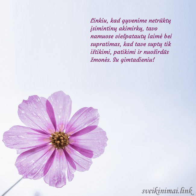 Elektroninė atvirutė su violetine gėle Linkiu, kad gyvenime netrūktų įsimintinų akimirkų, Elektroninė atvirutė su violetine gėle