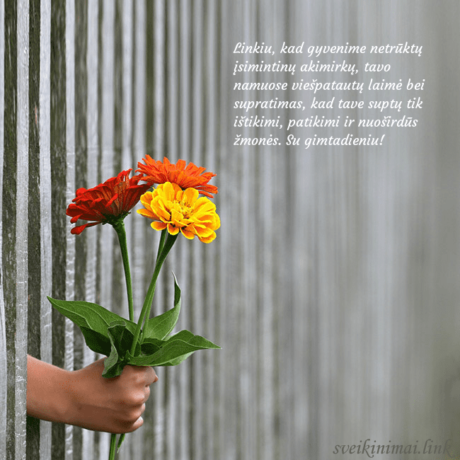 Elektroninė atvirutė su gėlių puokšte Linkiu, kad gyvenime netrūktų įsimintinų akimirkų, Elektroninė atvirutė su gėlių puokšte