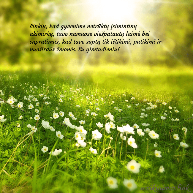 Elektroninė atvirutė su saulės spinduliuose skendinčia pieva Linkiu, kad gyvenime netrūktų įsimintinų akimirkų, Elektroninė atvirutė su saulės spinduliuose skendinčia pieva