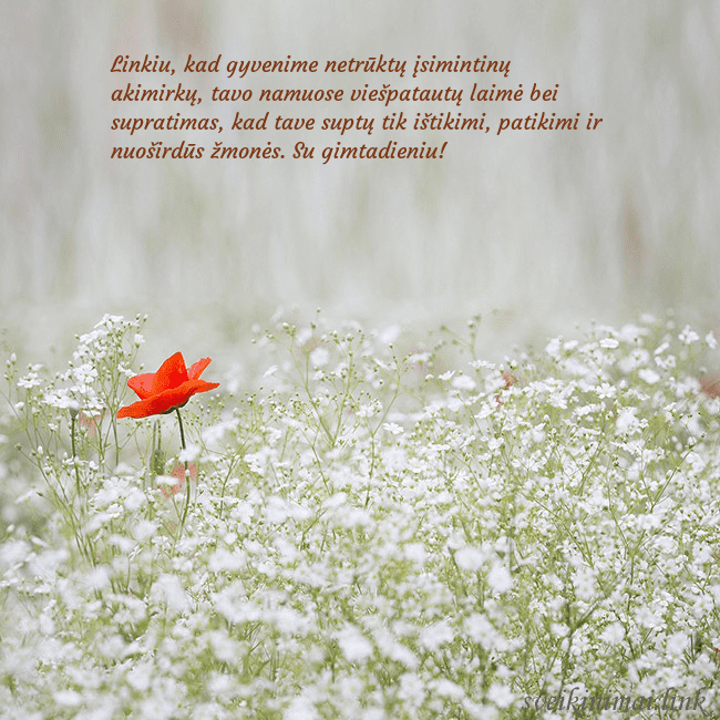 Elektroninis gimtadienio atvirukas su baltomis gėlėmis Linkiu, kad gyvenime netrūktų įsimintinų akimirkų, Elektroninis gimtadienio atvirukas su baltomis gėlėmis