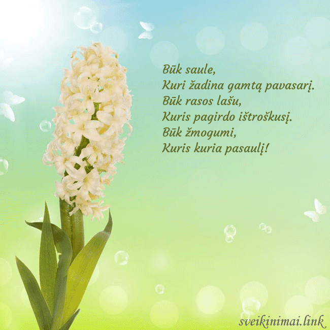 Atvirukas su hiacintu