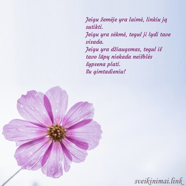 Elektroninė atvirutė su violetine gėle Jeigu žemėje yra laimė, linkiu ją sutikti.
Jeigu Elektroninė atvirutė su violetine gėle