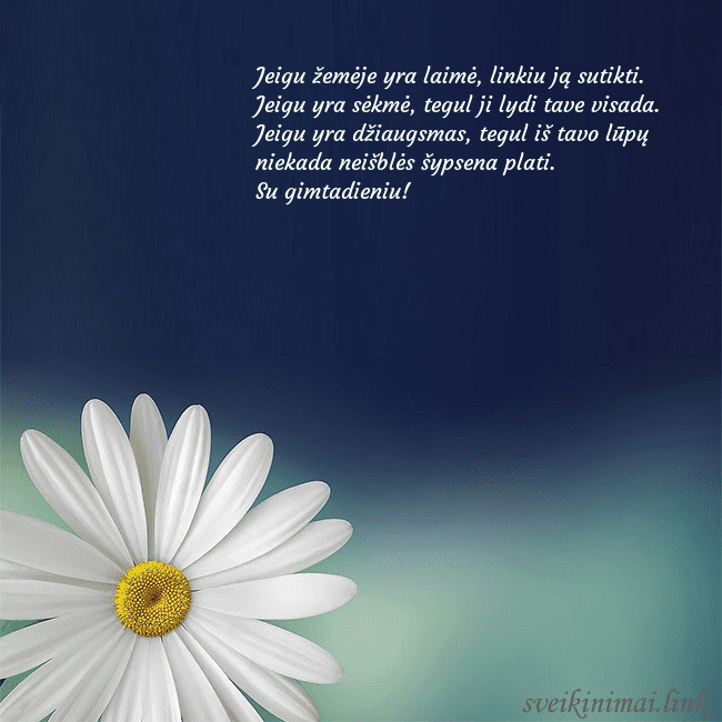 Gimtadienio atvirukas su didele ramune