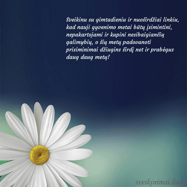 Gimtadienio atvirukas su didele ramune Sveikinu su gimtadieniu ir nuoširdžiai linkiu, kad Gimtadienio atvirukas su didele ramune