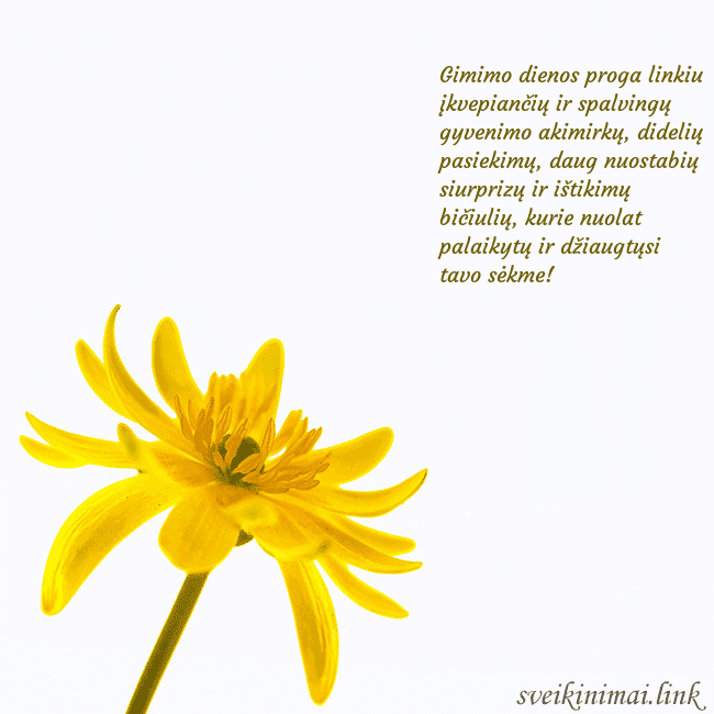 Atvirukas su geltona gėle