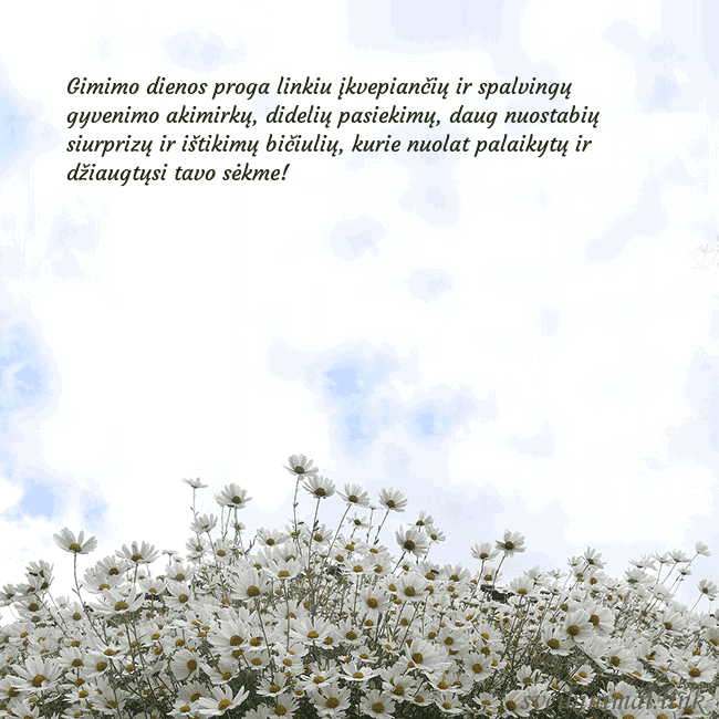 Atvirukas su ramunėmis