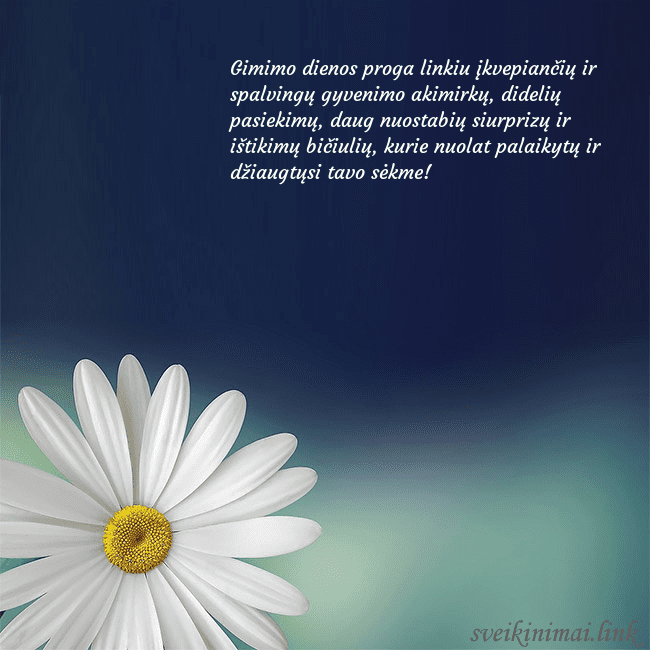 Gimtadienio atvirukas su didele ramune Gimimo dienos proga linkiu įkvepiančių ir spalving Gimtadienio atvirukas su didele ramune