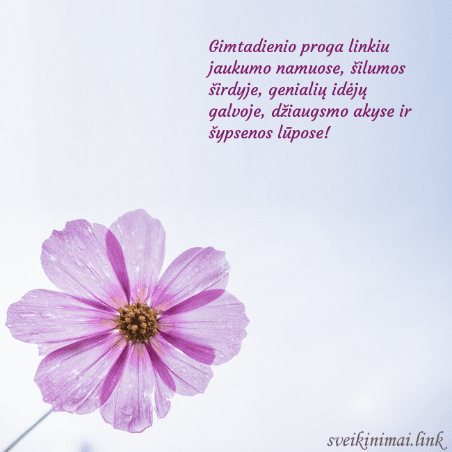 Elektroninė atvirutė su violetine gėle Gimtadienio proga linkiu jaukumo namuose, šilumos Elektroninė atvirutė su violetine gėle