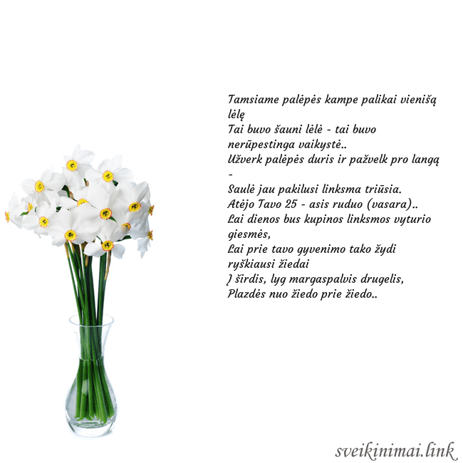 Atvirukas su narcizais