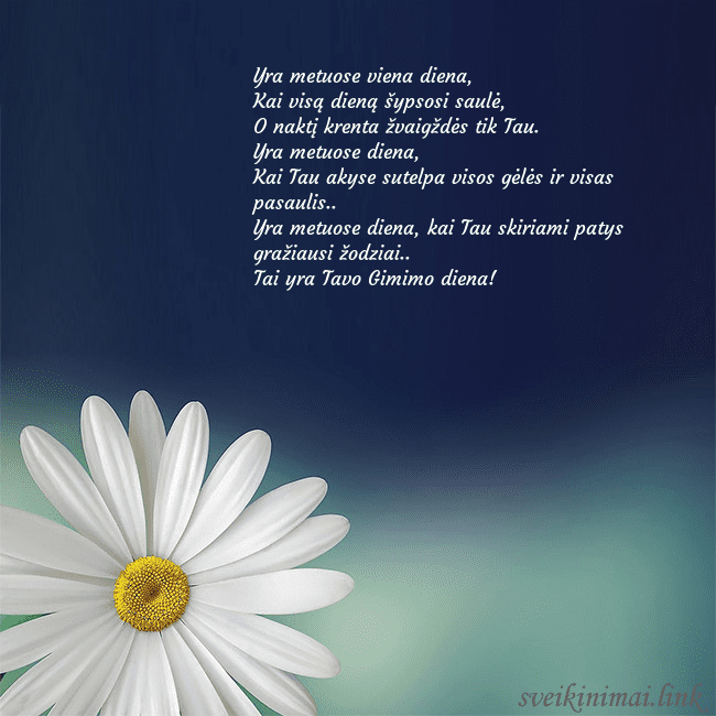 Gimtadienio atvirukas su didele ramune