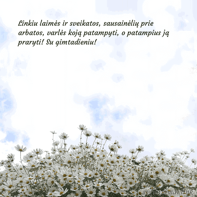 Atvirukas su ramunėmis