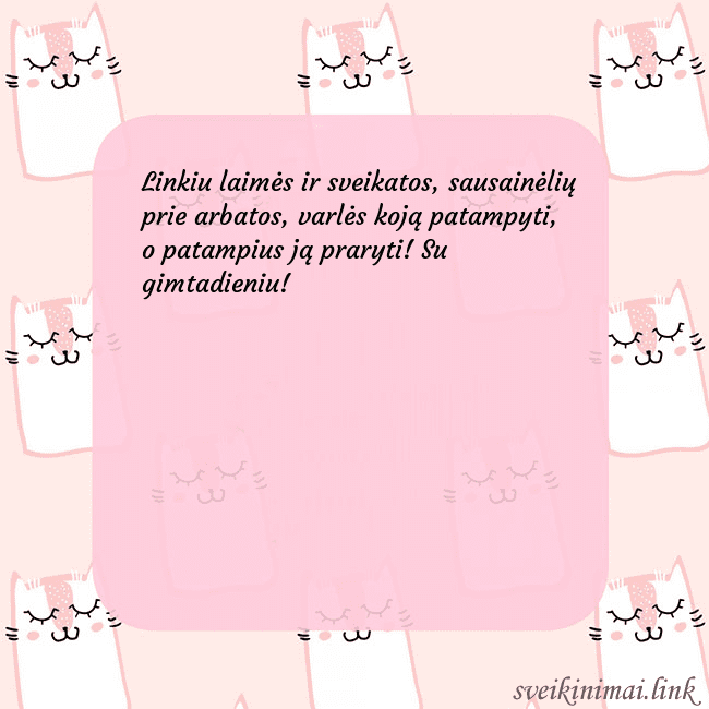 Rožinis gimtadienio atvirukas su juokingais katinais