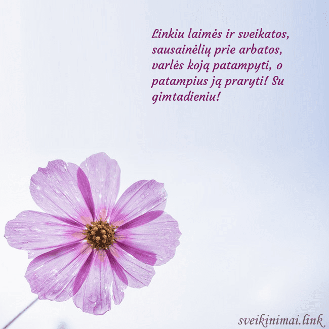 Elektroninė atvirutė su violetine gėle