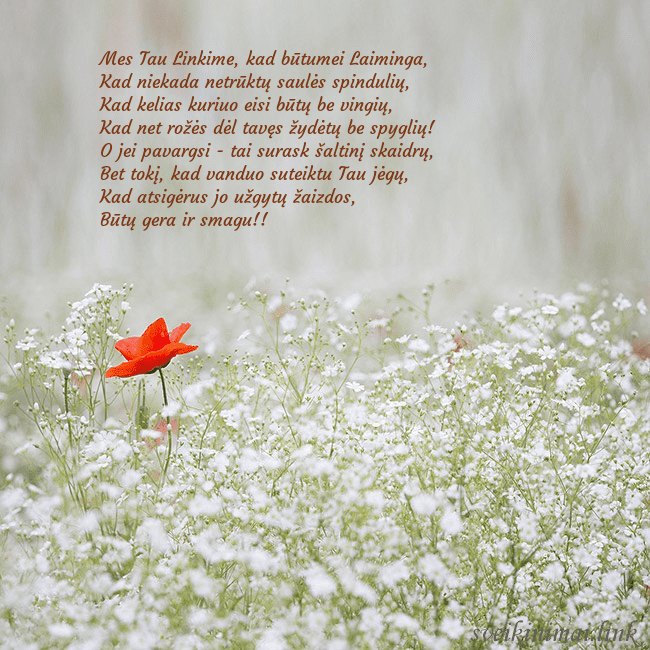 Elektroninis gimtadienio atvirukas su baltomis gėlėmis