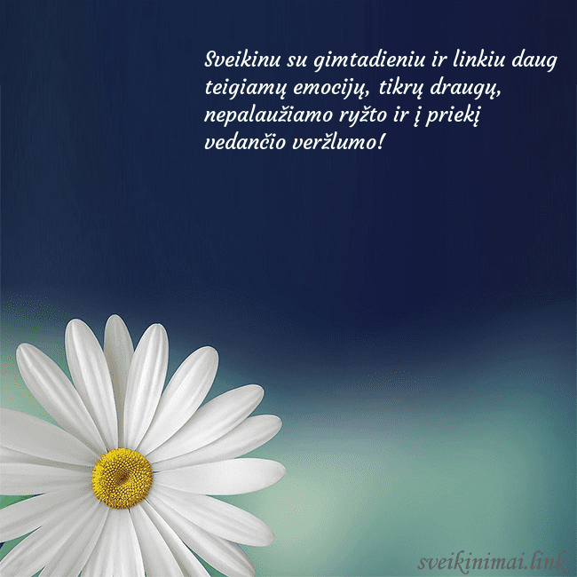 Gimtadienio atvirukas su didele ramune Sveikinu su gimtadieniu ir linkiu daug teigiamų em Gimtadienio atvirukas su didele ramune