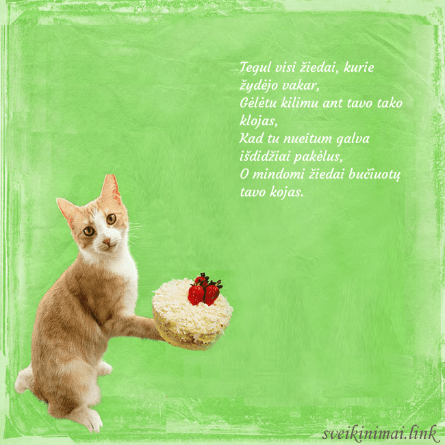 Gimtadienio atvirukas su katinu ir tortu Tegul visi žiedai, kurie žydėjo vakar,
Gėlėtu kili Gimtadienio atvirukas su katinu ir tortu