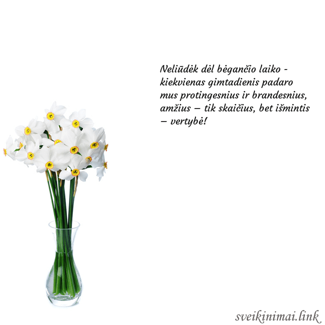 Atvirukas su narcizais