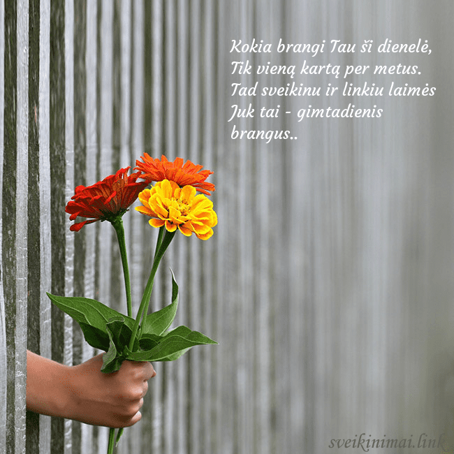 Elektroninė atvirutė su gėlių puokšte Kokia brangi Tau ši dienelė,
Tik vieną kartą per m Elektroninė atvirutė su gėlių puokšte