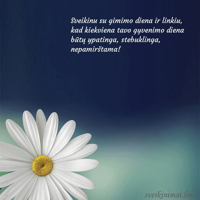 Gimtadienio atvirukas su didele ramune Sveikinu su gimimo diena ir linkiu, kad kiekviena Gimtadienio atvirukas su didele ramune