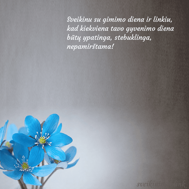 Atvirukas su žibuoklėmis Sveikinu su gimimo diena ir linkiu, kad kiekviena Atvirukas su žibuoklėmis