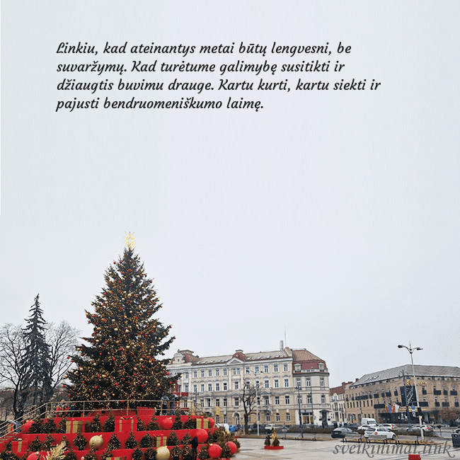 Vilniaus kalėdinė eglutė 2025