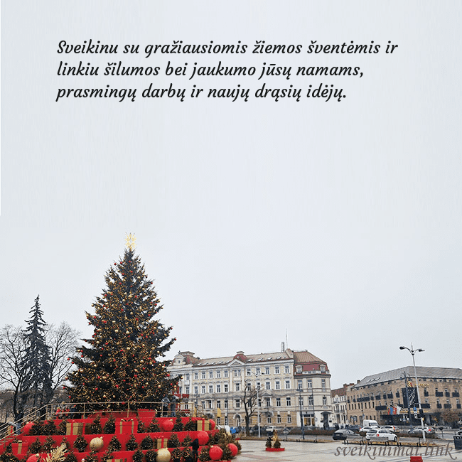 Vilniaus kalėdinė eglutė 2025