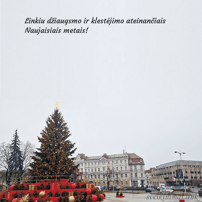 Vilniaus kalėdinė eglutė 2025