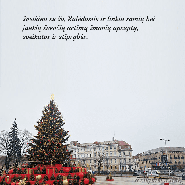 Vilniaus kalėdinė eglutė 2025