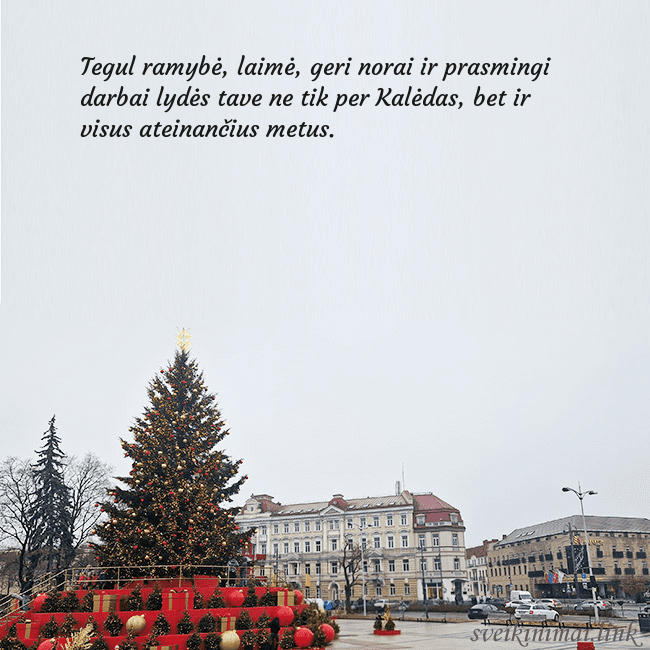 Vilniaus kalėdinė eglutė 2025