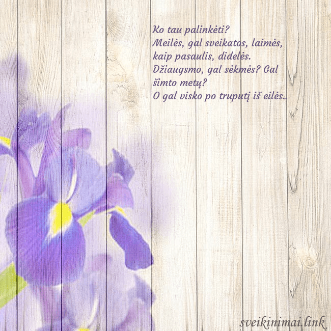 Atvirukas su vilkdalgiais Ko tau palinkėti?
Meilės, gal sveikatos, laimės, k Atvirukas su vilkdalgiais