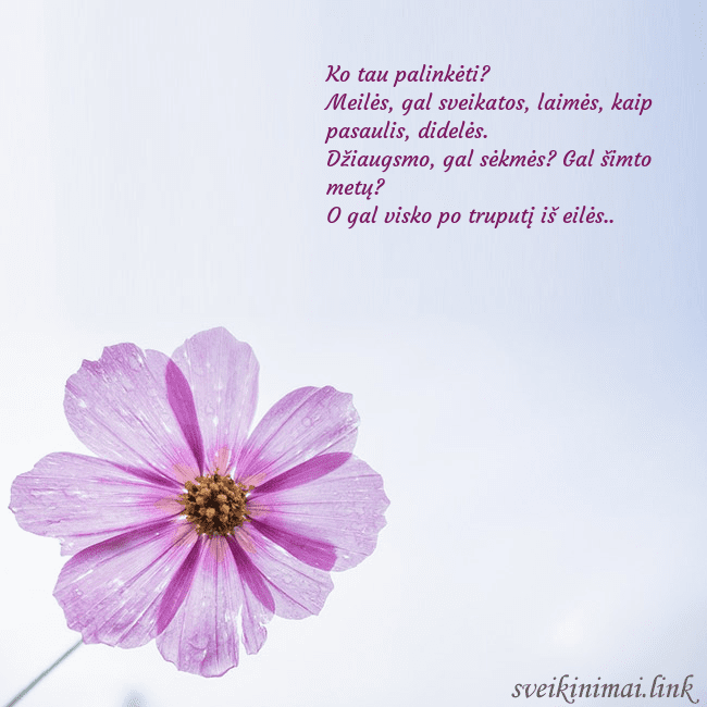 Elektroninė atvirutė su violetine gėle Ko tau palinkėti?
Meilės, gal sveikatos, laimės, k Elektroninė atvirutė su violetine gėle