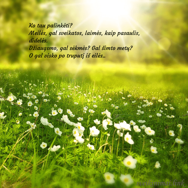 Elektroninė atvirutė su saulės spinduliuose skendinčia pieva Ko tau palinkėti?
Meilės, gal sveikatos, laimės, k Elektroninė atvirutė su saulės spinduliuose skendinčia pieva