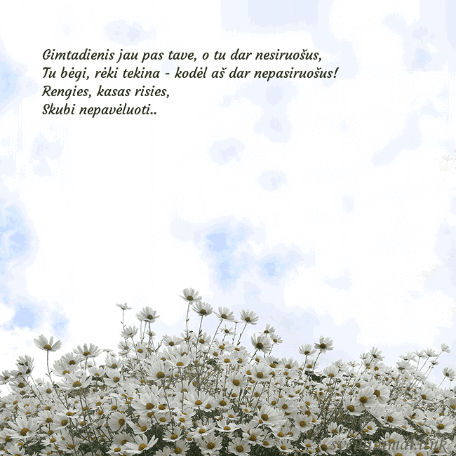 Atvirukas su ramunėmis