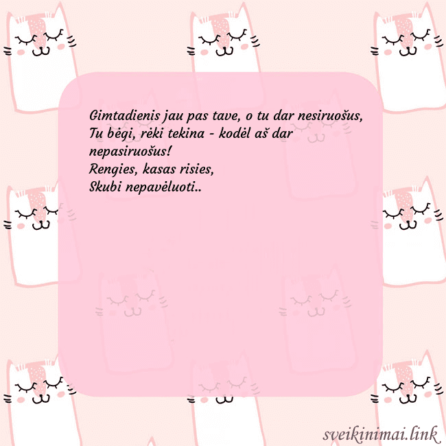 Rožinis gimtadienio atvirukas su juokingais katinais
