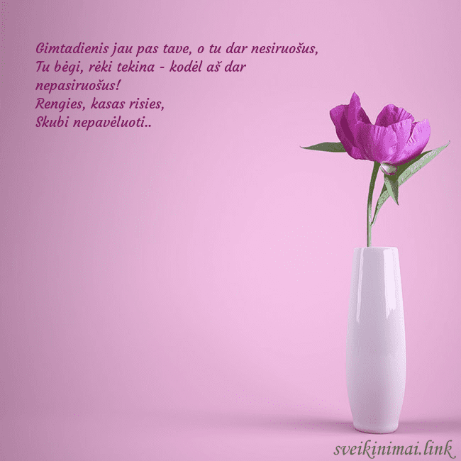 Elektroninė atvirutė su bijūnu vazoje Gimtadienis jau pas tave, o tu dar nesiruošus,
Tu Elektroninė atvirutė su bijūnu vazoje