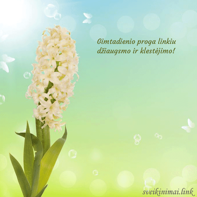 Atvirukas su hiacintu