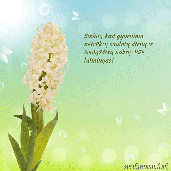 Atvirukas su hiacintu