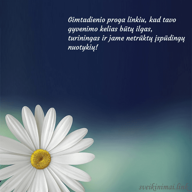 Gimtadienio atvirukas su didele ramune Gimtadienio proga linkiu, kad tavo gyvenimo kelias Gimtadienio atvirukas su didele ramune