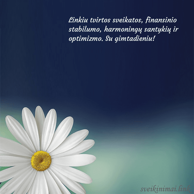 Gimtadienio atvirukas su didele ramune