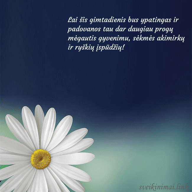 Gimtadienio atvirukas su didele ramune