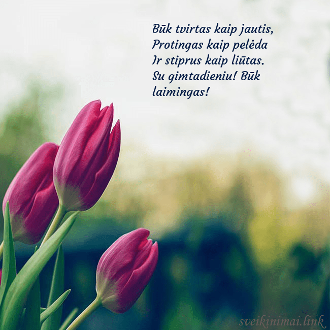 Atvirukas su trim raudonomis tulpėmis Būk tvirtas kaip jautis,
Protingas kaip pelėda
I Atvirukas su trim raudonomis tulpėmis