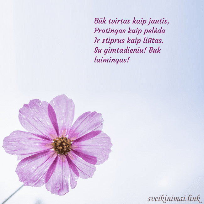 Elektroninė atvirutė su violetine gėle Būk tvirtas kaip jautis,
Protingas kaip pelėda
I Elektroninė atvirutė su violetine gėle
