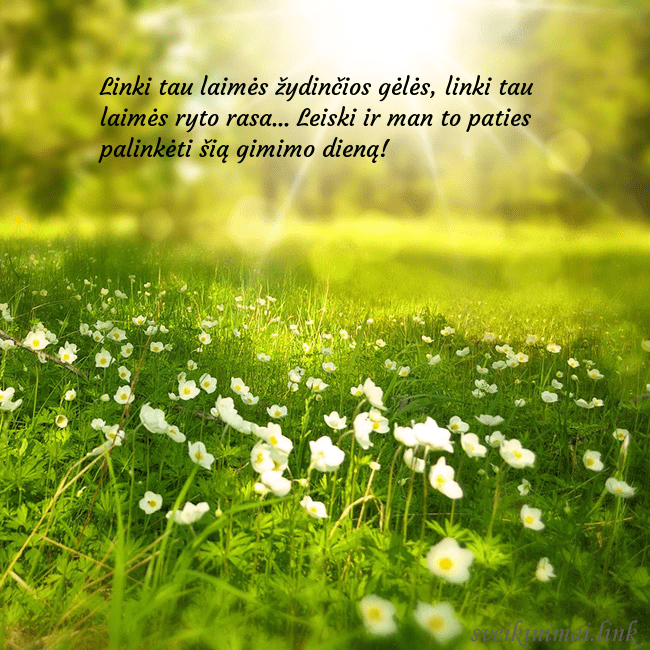 Elektroninė atvirutė su saulės spinduliuose skendinčia pieva Linki tau laimės žydinčios gėlės, linki tau laimės Elektroninė atvirutė su saulės spinduliuose skendinčia pieva