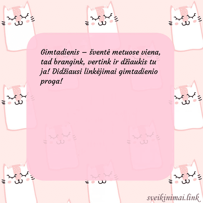 Rožinis gimtadienio atvirukas su juokingais katinais