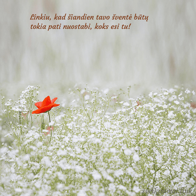 Elektroninis gimtadienio atvirukas su baltomis gėlėmis